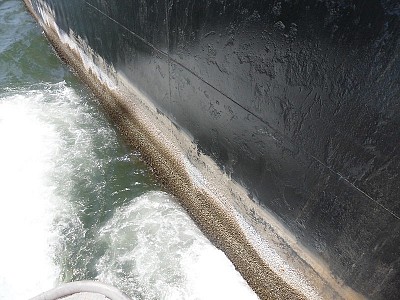 New biofouling managment rules for ships visiting Australia