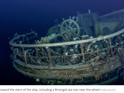 Shackleton’s ‘Endurance’ Shipwreck Is Teeming With Bizarre Ocean Life