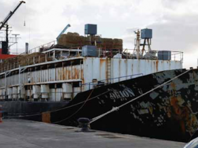 Spain Seizes Cocaine Worth $114 Million From Livestock Ship 