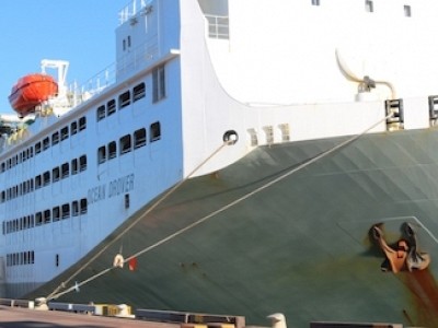 Live exports: just five of 38 eligible ships had Australian animal welfare observers